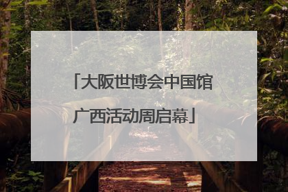 大阪世博会中国馆广西活动周启幕