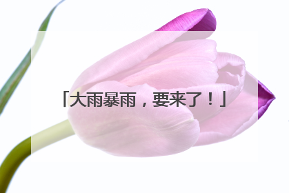大雨暴雨，要来了！