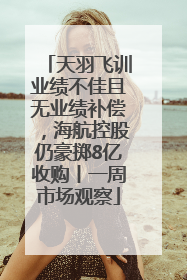 天羽飞训业绩不佳且无业绩补偿，海航控股仍豪掷8亿收购丨一周市场观察