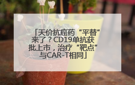 天价抗癌药“平替”来了？CD19单抗获批上市，治疗“靶点”与CAR-T相同