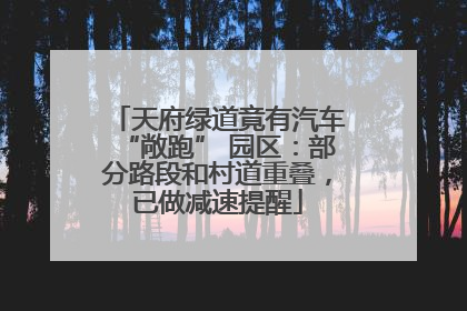 天府绿道竟有汽车“敞跑” 园区:部分路段和村道重叠,已做减速提醒