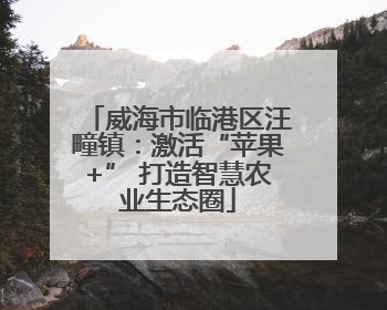 威海市临港区汪疃镇：激活“苹果+” 打造智慧农业生态圈