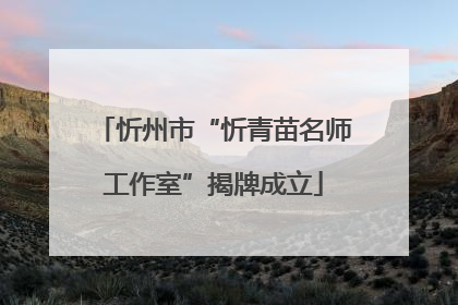 忻州市“忻青苗名师工作室”揭牌成立