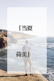 当夏荷美