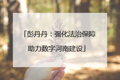 彭丹丹：强化法治保障 助力数字河南建设