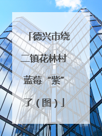 德兴市绕二镇花林村蓝莓“紫”了（图）