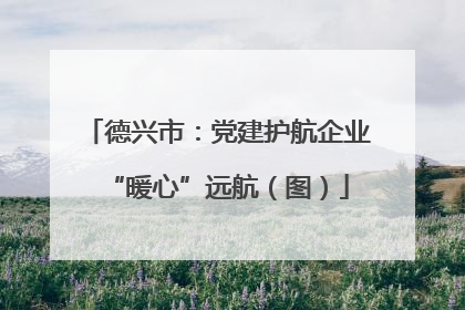 德兴市：党建护航企业“暖心”远航（图）