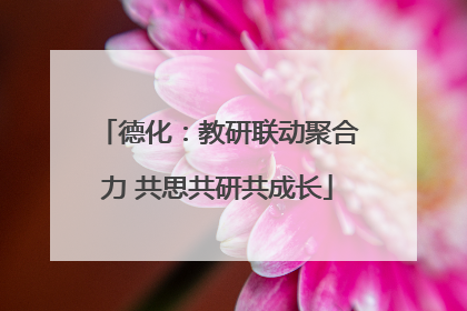 德化：教研联动聚合力 共思共研共成长