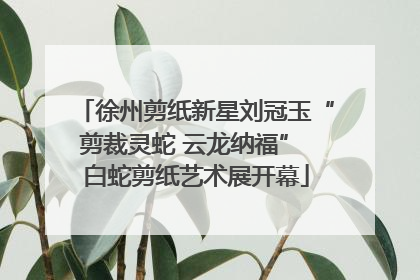 徐州剪纸新星刘冠玉“剪裁灵蛇 云龙纳福” 白蛇剪纸艺术展开幕