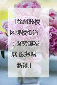 徐州鼓楼区牌楼街道：聚势谋发展 服务赋新能