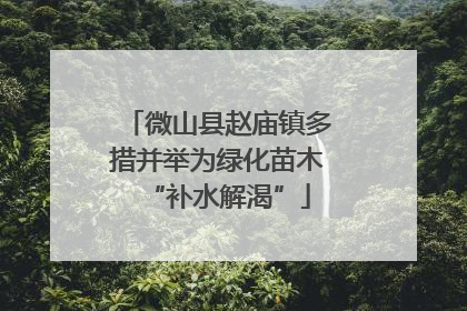微山县赵庙镇多措并举为绿化苗木“补水解渴”