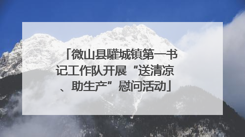 微山县驩城镇第一书记工作队开展“送清凉、助生产”慰问活动