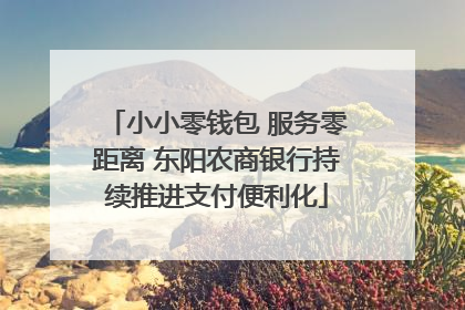 小小零钱包 服务零距离 东阳农商银行持续推进支付便利化