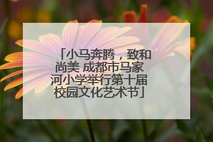 小马奔腾，致和尚美 成都市马家河小学举行第十届校园文化艺术节