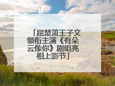 屈楚萧王子文领衔主演《有朵云像你》剧组亮相上影节