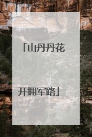 山丹丹花开拥军路