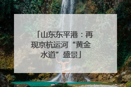 山东东平港：再现京杭运河“黄金水道”盛景