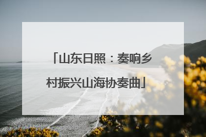 山东日照：奏响乡村振兴山海协奏曲