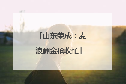 山东荣成：麦浪翻金抢收忙