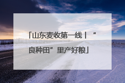 山东麦收第一线丨“良种田”里产好粮