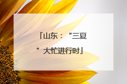 山东：“三夏”大忙进行时