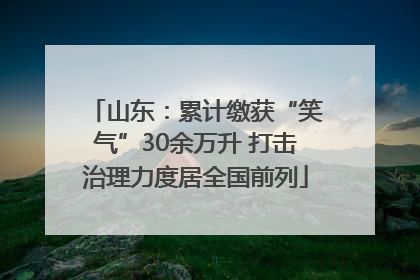 山东：累计缴获“笑气”30余万升 打击治理力度居全国前列