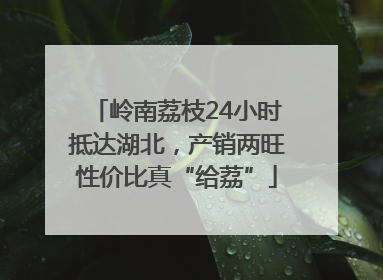 岭南荔枝24小时抵达湖北，产销两旺性价比真“给荔”