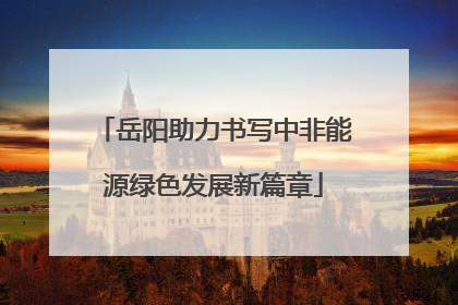 岳阳助力书写中非能源绿色发展新篇章