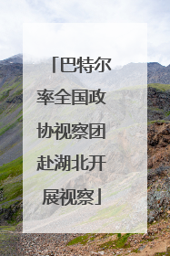 巴特尔率全国政协视察团赴湖北开展视察