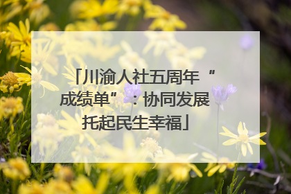 川渝人社五周年“成绩单”：协同发展托起民生幸福