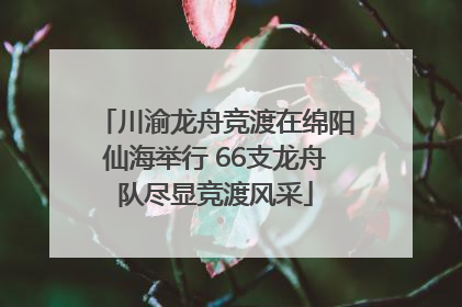 川渝龙舟竞渡在绵阳仙海举行 66支龙舟队尽显竞渡风采