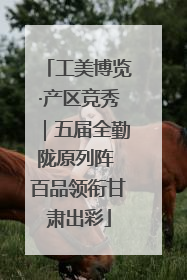 工美博览·产区竞秀｜五届全勤陇原列阵 百品领衔甘肃出彩
