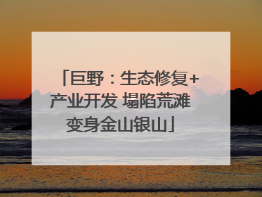 巨野：生态修复+产业开发 塌陷荒滩变身金山银山