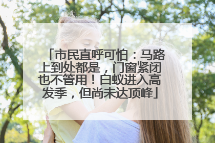 市民直呼可怕：马路上到处都是，门窗紧闭也不管用！白蚁进入高发季，但尚未达顶峰