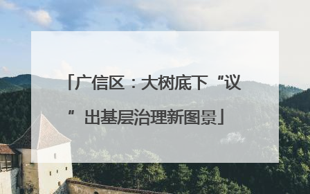 广信区：大树底下“议”出基层治理新图景