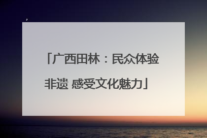 广西田林：民众体验非遗 感受文化魅力