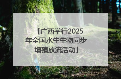 广西举行2025年全国水生生物同步增殖放流活动