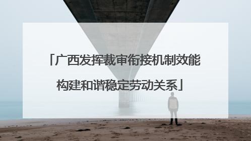 广西发挥裁审衔接机制效能 构建和谐稳定劳动关系