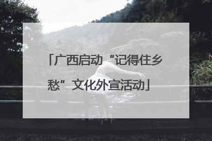 广西启动“记得住乡愁”文化外宣活动