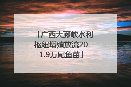 广西大藤峡水利枢纽增殖放流201.9万尾鱼苗