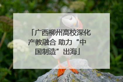 广西柳州高校深化产教融合 助力“中国制造”出海