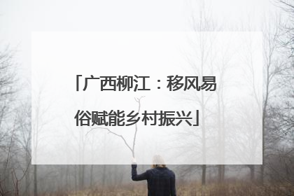 广西柳江：移风易俗赋能乡村振兴