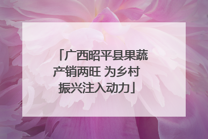广西昭平县果蔬产销两旺 为乡村振兴注入动力