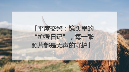 平度交警：镜头里的“护考日记”，每一张照片都是无声的守护