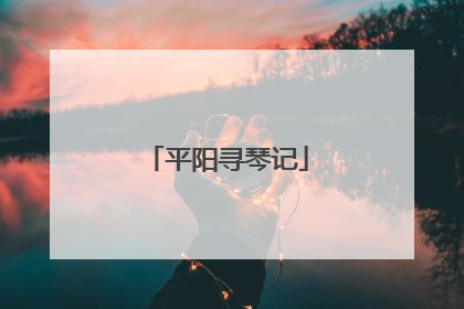 平阳寻琴记