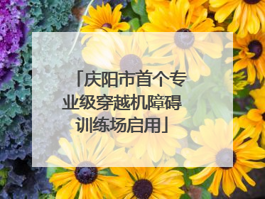 庆阳市首个专业级穿越机障碍训练场启用
