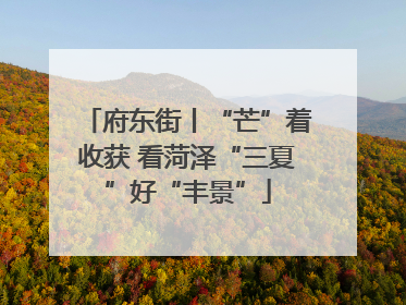 府东街丨“芒”着收获 看菏泽“三夏”好“丰景”