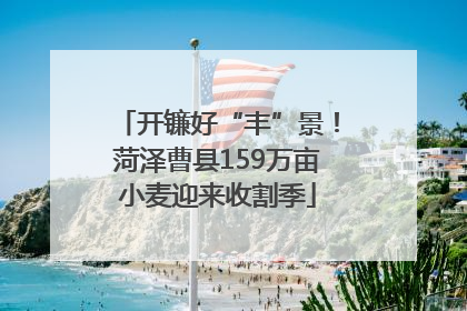 开镰好“丰”景！菏泽曹县159万亩小麦迎来收割季