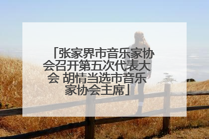 张家界市音乐家协会召开第五次代表大会 胡情当选市音乐家协会主席