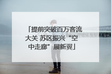 提前突破百万客流大关 苏区振兴“空中走廊”展新翼